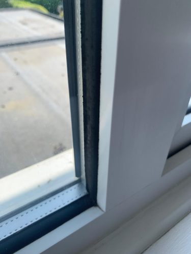 Doctor Window