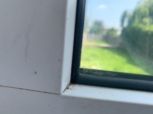Doctor Window