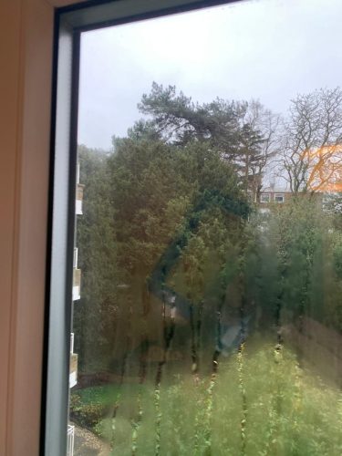 Doctor Window