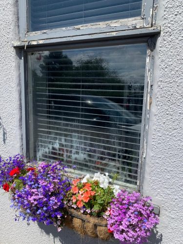 Doctor Window