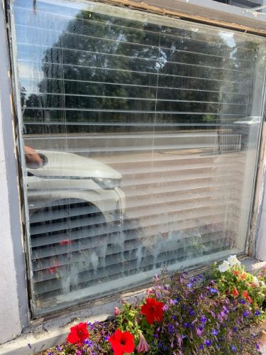 Doctor Window